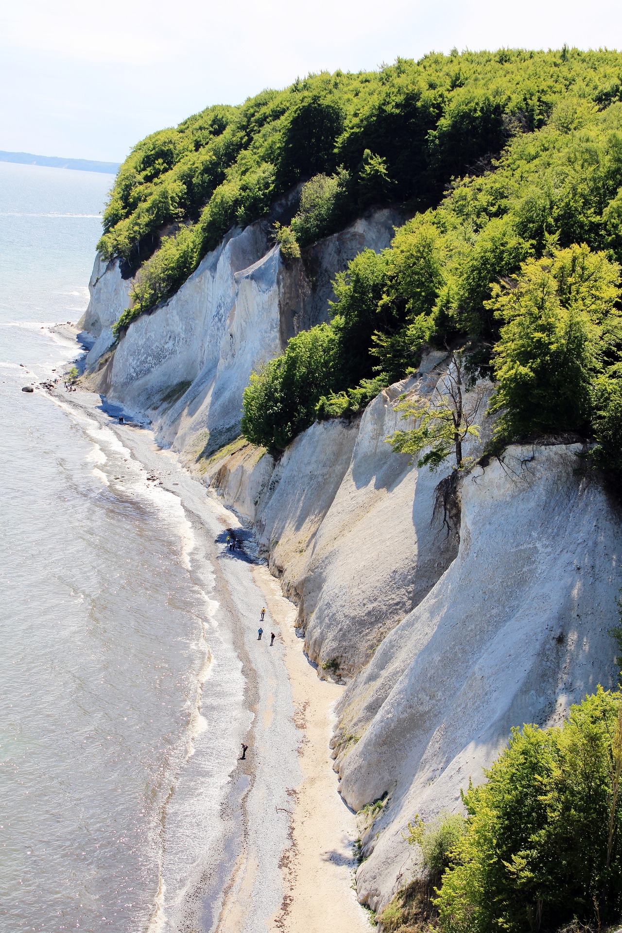 Kreidefelsen auf Rügen – Reinigungsservice Alex’s Clean auf der Insel Rügen